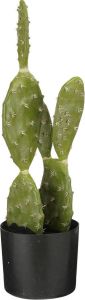 Mica Decorations Cactus Kunstplant in Bloempot H50 x Ø25 cm Groen