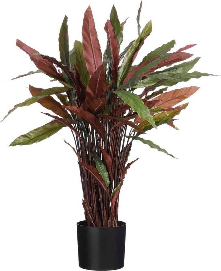 Mica Decorations Calathea Roseopicta Kunstplant H84 x Ø40 cm Rood