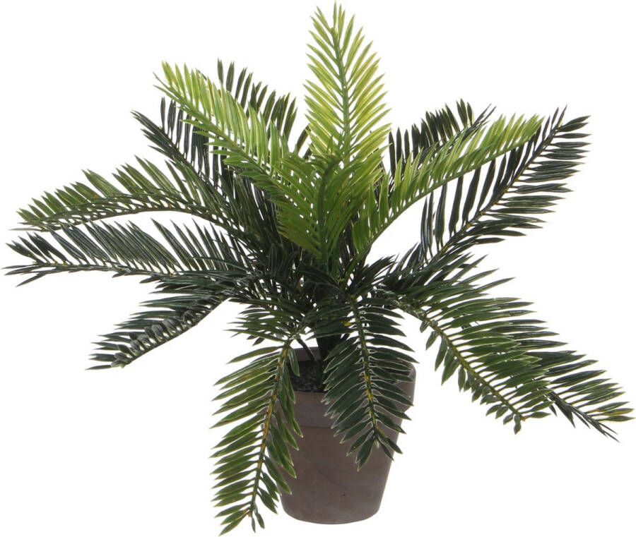 Mica Decorations Groene Cycaspalm kunstplant 33 cm met zwarte pot Kunstplanten