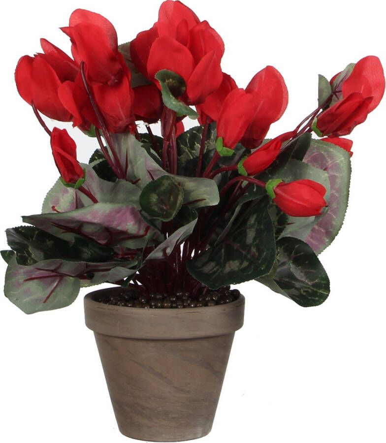Mica Decorations Cyclaam Kunstplant in Bloempot Stan H30 x Ø30 cm Rood