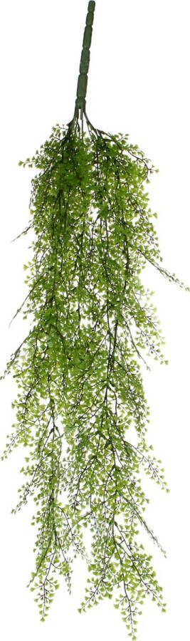 Mica Decorations Cypres Hangend Maat In Cm: 95 Groen
