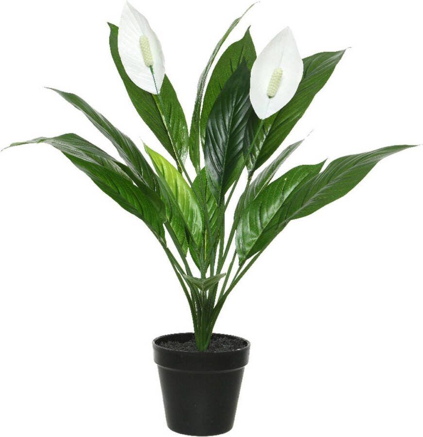 Mica Decorations Decoratieve plant Espatifilo PVC