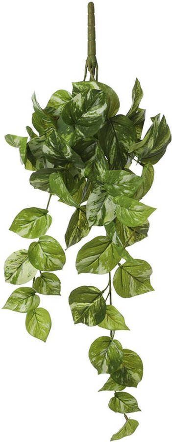 Mica Decorations Decoratieve plant Potos 14 x 58 x 20 cm Hanger