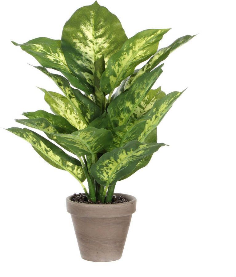 Mica Decorations Dieffenbachia Kunstplant in Bloempot Stan H40 x Ø30 cm Groen