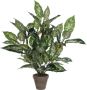 Mica Decorations Dieffenbachia Kunstplant in Bloempot Stan H70 x Ø55 cm Groen - Thumbnail 1