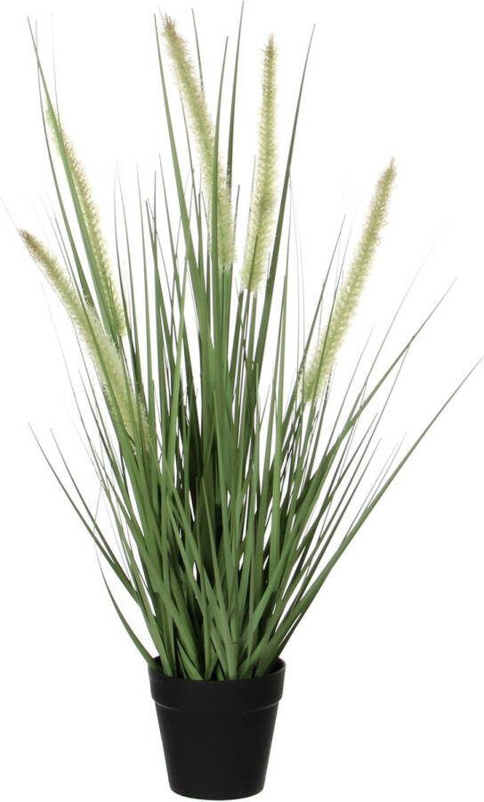 Mica Decorations Groene Dogtail siergras kunstplanten H53 x D30 cm met zwarte pot Kunstplanten