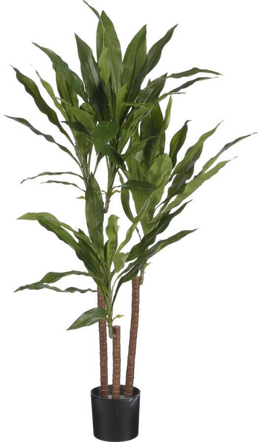 Mica Decorations Kunstplant Dracaena Groen In Pot 100 Cm