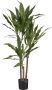 Mica Decorations Kunstplant Dracaena Groen In Pot 100 Cm - Thumbnail 1