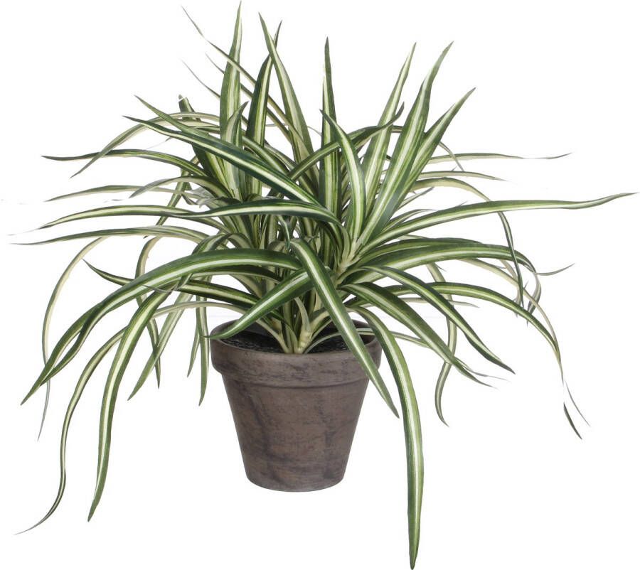 Merkloos Sans marque Kunstplant Dracaena Groen bont H 34cm Keramiek sierpot Mica Decorations