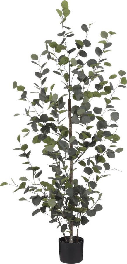 Mica Decorations Eucalyptus Kunstplant in Bloempot H150 x Ø30 cm Groen
