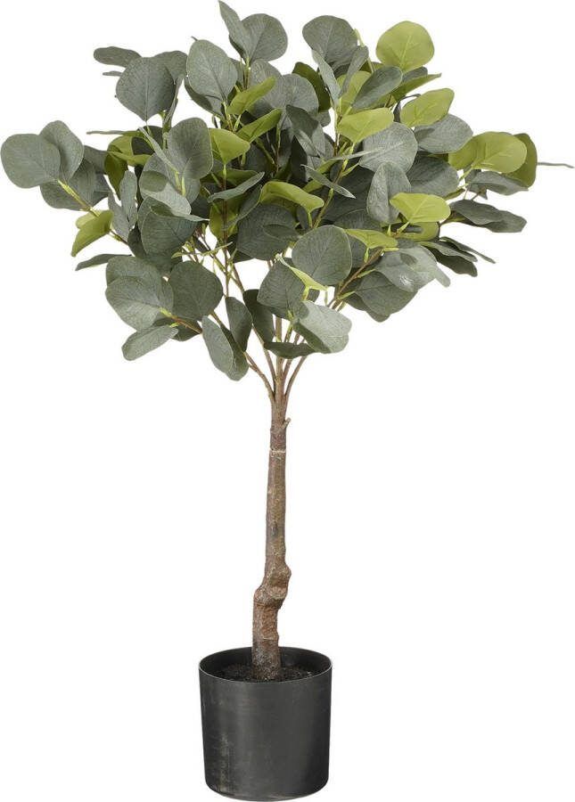 Mica Decorations Eucalyptus Kunstplant in Bloempot H75 x Ø15 cm Groen
