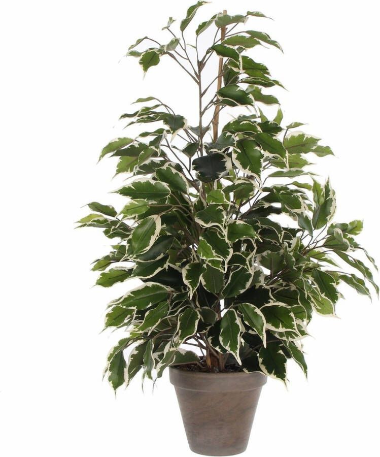 Mica Decorations Ficus Exotica Kunstplant in Bloempot Stan H60 x Ø35 cm Groen Bont