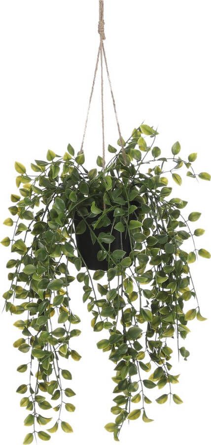 Mica Decorations Ficus Kunst Hangplant in Pot H46 x Ø20 cm Groen