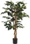 Mica Decorations Ficus Benjamina 105x60 Cm Groen In Plastic Pot Groen - Thumbnail 1