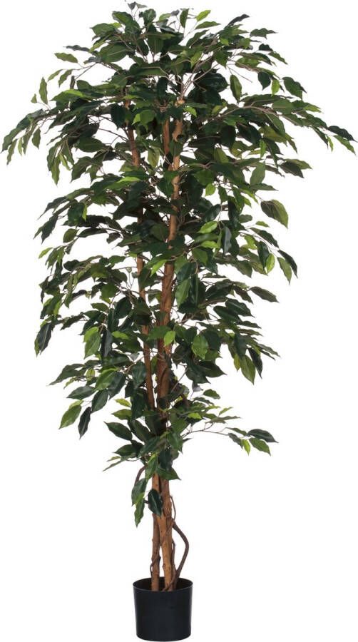 Mica Decorations Ficus Kunstplant H180 x Ø100 cm Plastic Pot Groen