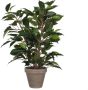 Mica Decorations Ficus Natasja Kunstplant in Bloempot Stan H40 x Ø30 cm Groen - Thumbnail 1