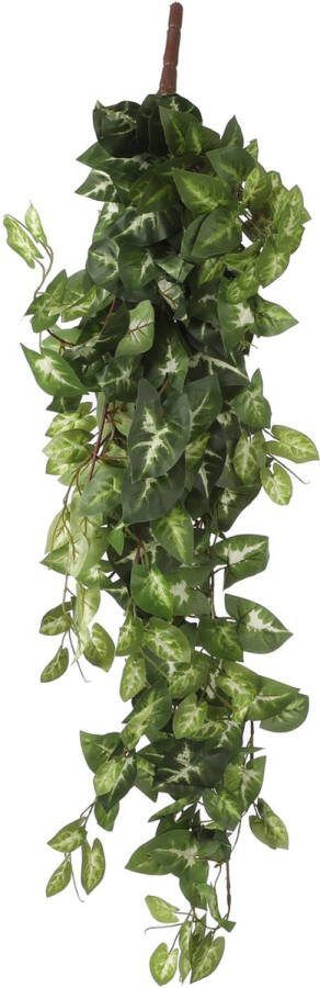 Mica Decorations Fittonia Hangend Groen Maat In Cm: 80 X 30 X 15 Groen