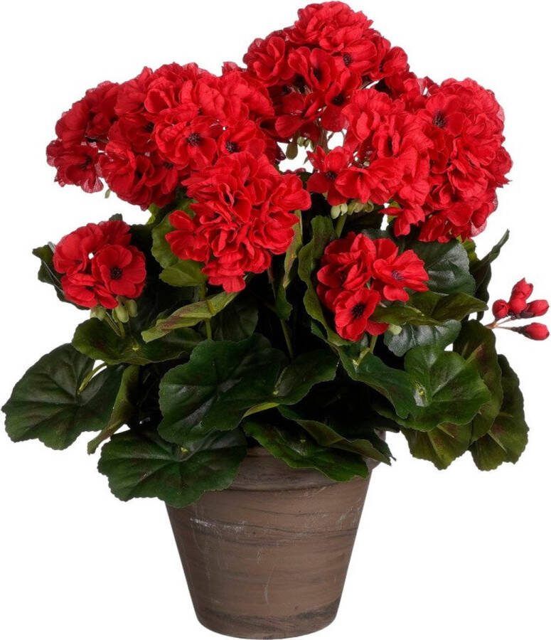 Mica Decorations Geranium Kunstplant 27x27x41 cm Polyester Rood