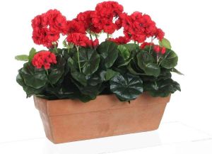 Mica Decorations geranium rood in balkonbak terra maat in cm: 39 x 13 x 40 ROOD