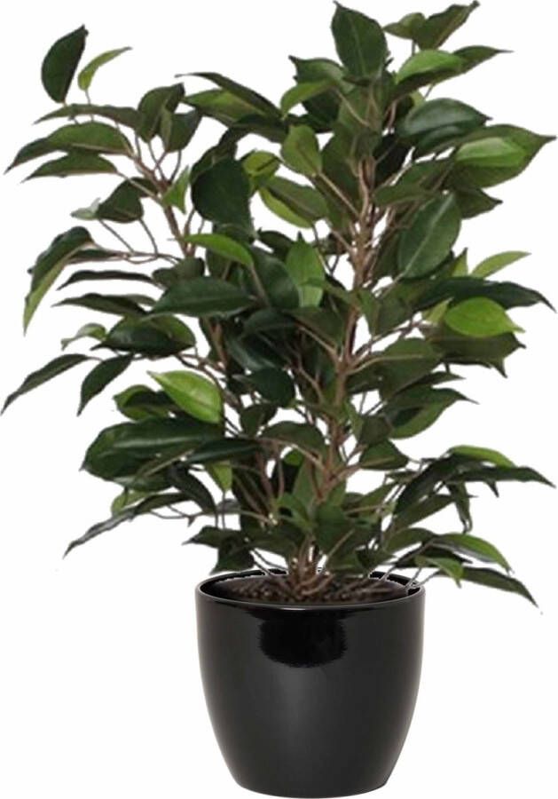 Mica Decorations Groene ficus kunstplant 40 cm met plantenpot zwart D13.5 en H12.5 cm Kunstplanten