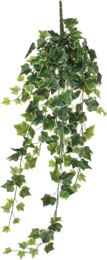 Mica Decorations Hedera Kunstplant L86 cm Hangend Groen bont