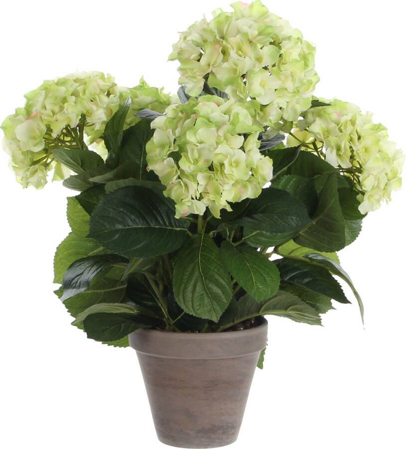 Mica Decorations hortensia creme in pot stan grijs d13 5 maat in cm: 45 x 45 CREME