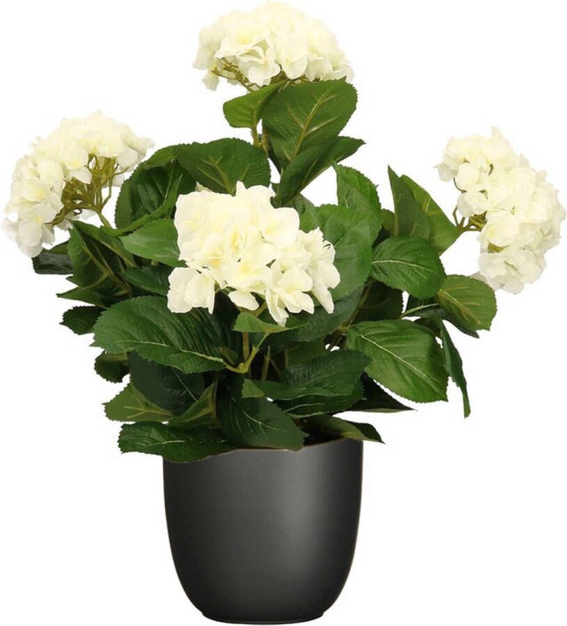 Mica Decorations Hortensia kunstplant kunstbloemen 45 cm wit in pot zwart mat Kunst kamerplant