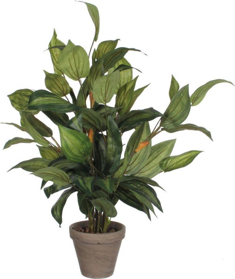 Mica Decorations Hosta Kunstplant in Bloempot Stan H65 x Ø40 cm Groen