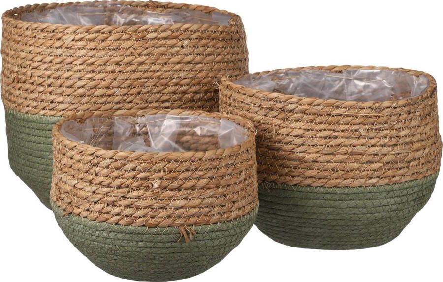 Mica Decorations Jorck Mand voor Planten Set van 3 H24 x Ø26 cm Zeegras Groen