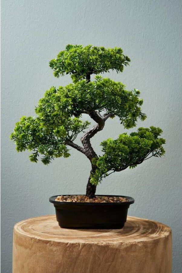 Mica Decorations Kunstplant Bonsai Groen 30 x 30 x 38 cm