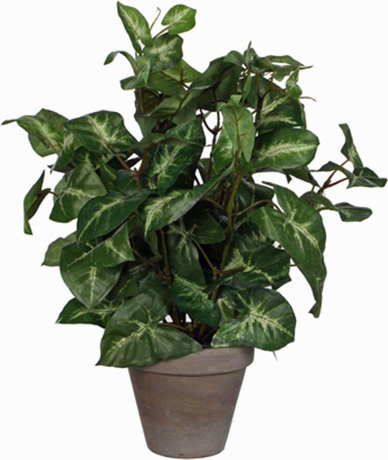 Merkloos Sans marque Kunstplant Syngonium (Fittonia) Groen H 35cm Keramiek sierpot Mica Decorations