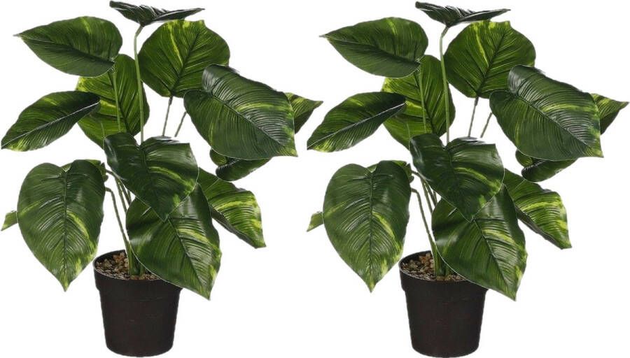 Mica Decorations Mica Decoration kunstplant Philodendron 2x groen H40 en D35 cm Kamerplant Kunstplanten