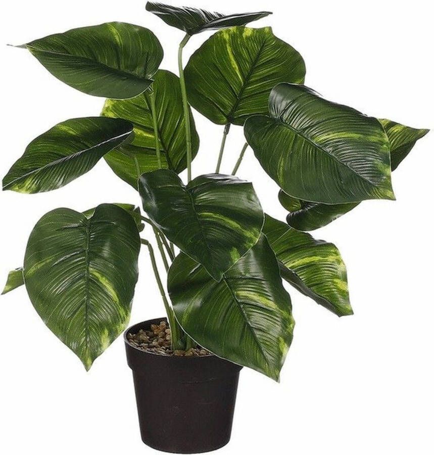 Mica Decorations Mica Decoration kunstplant Philodendron groen H40 en D35 cm Kamerplant Kunstplanten