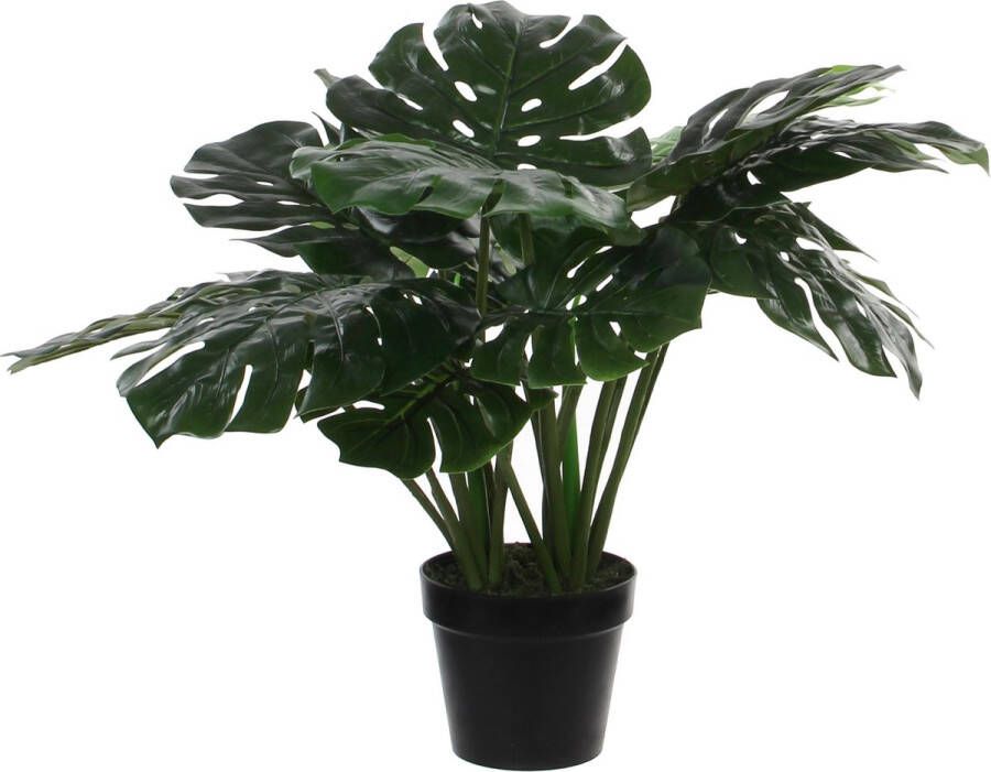 Mica Decorations Monstera Kunstplant H60 x Ø80 cm Groen