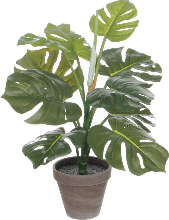 Mica Decorations Monstera Kunstplant in Bloempot Stan H48 x Ø39 cm Groen