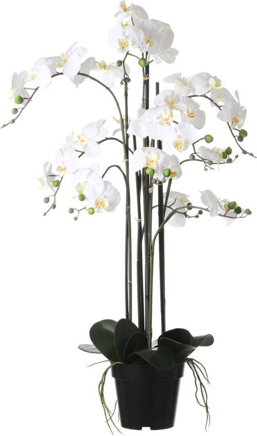 Mica Decorations Orchidee bloem kunstplant parel wit H97 x B19 cm