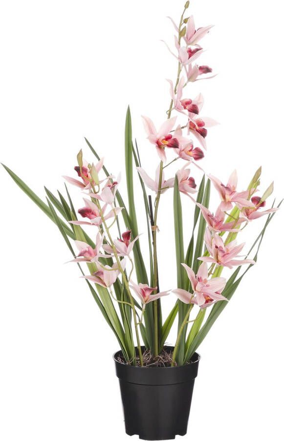 Mica Decorations Orchidee bloem kunstplant perzik roze H66 x B34 cm