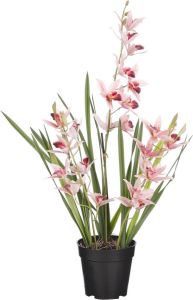 Mica Decorations Orchidee bloem kunstplant perzik roze H66 x B34 cm  Kunstplanten