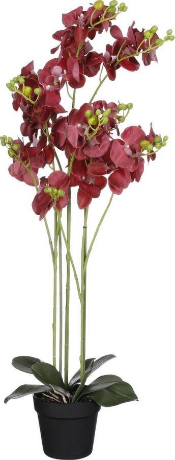 Mica Decorations Orchidee bloem kunstplant rood H90 x B30 cm  Kunstplanten
