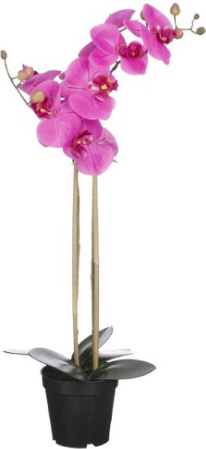 Mica Decorations Orchidee Kunstplant Paars 70 x 38 cm
