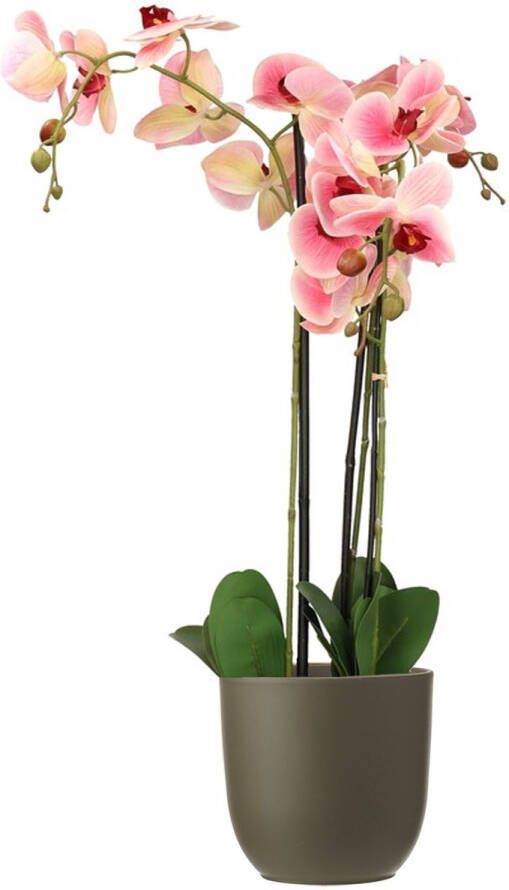 Mica Decorations Orchidee kunstplant roze 75 cm inclusief bloempot olijfgroen mat Kunstbloemen in pot