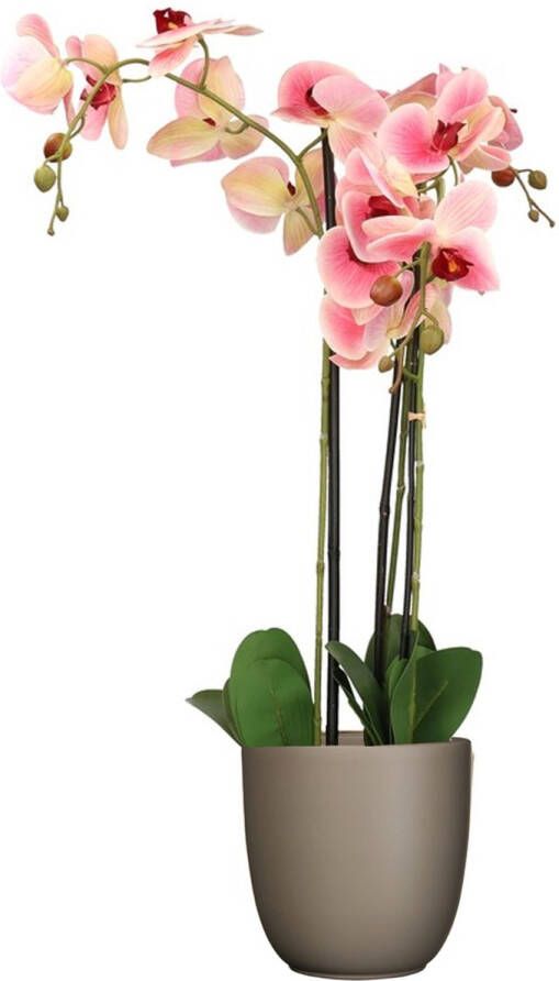 Mica Decorations Orchidee kunstplant roze 75 cm inclusief bloempot taupe mat Kunstbloemen in pot