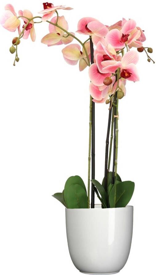 Mica Decorations Orchidee kunstplant roze 75 cm inclusief bloempot wit glans Kunstbloemen in pot