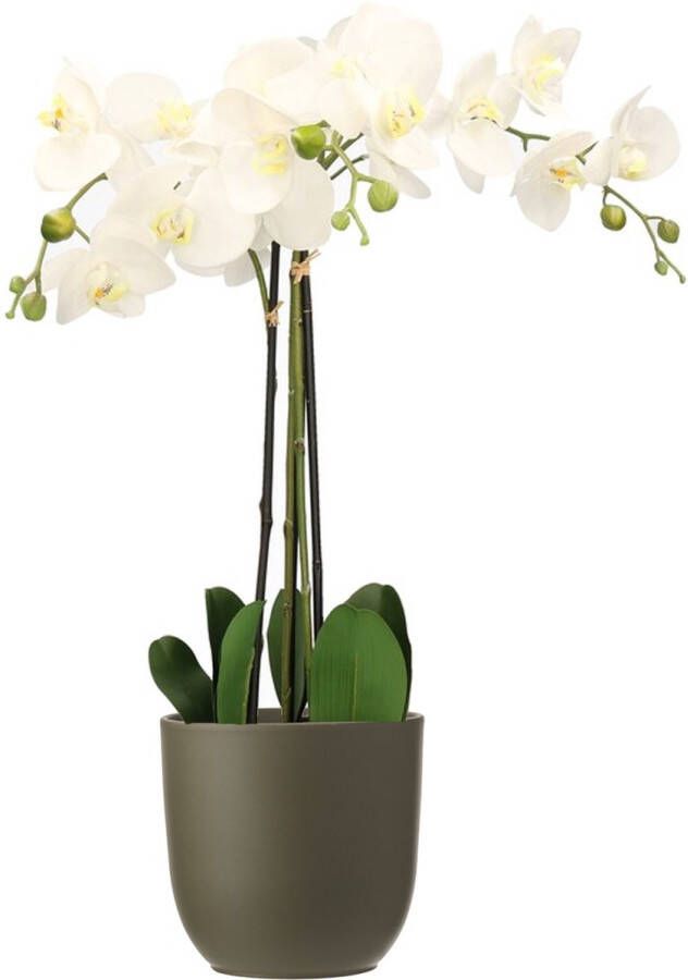 Mica Decorations Orchidee kunstplant wit 75 cm inclusief bloempot olijfgroen mat Kunstbloemen in pot