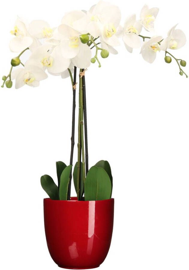 Mica Decorations Orchidee kunstplant wit 75 cm inclusief bloempot rood glans Kunstbloemen in pot