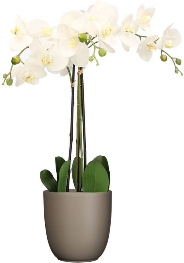 Mica Decorations Orchidee kunstplant wit 75 cm inclusief bloempot taupe mat Kunstbloemen in pot