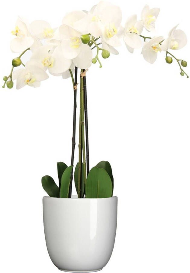 Mica Decorations Orchidee kunstplant wit 75 cm inclusief bloempot wit glans Kunstbloemen in pot