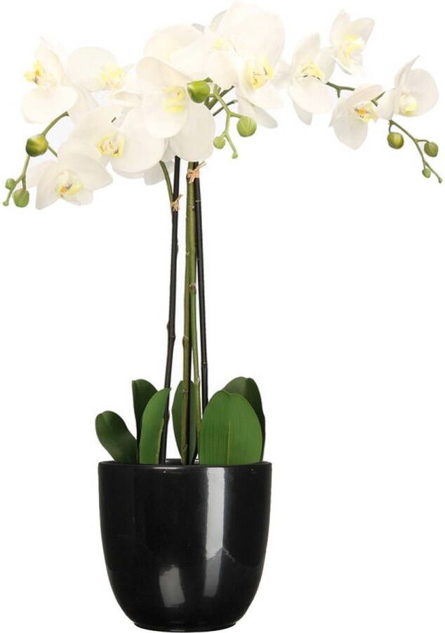 Mica Decorations Orchidee kunstplant wit 75 cm inclusief bloempot zwart glans Kunstbloemen in pot