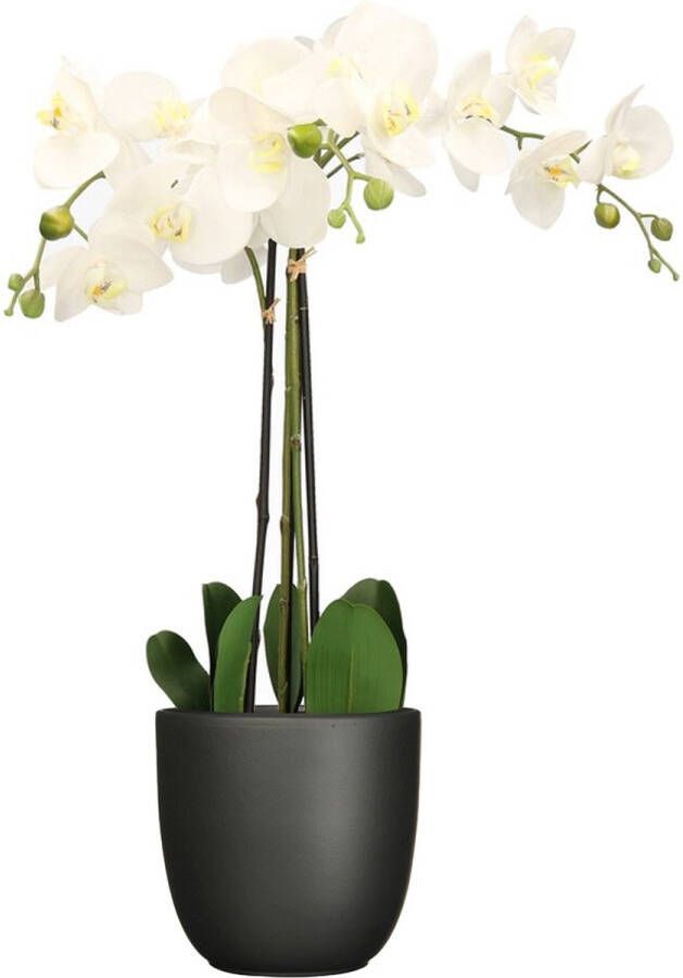 Mica Decorations Orchidee kunstplant wit 75 cm inclusief bloempot zwart mat Kunstbloemen in pot