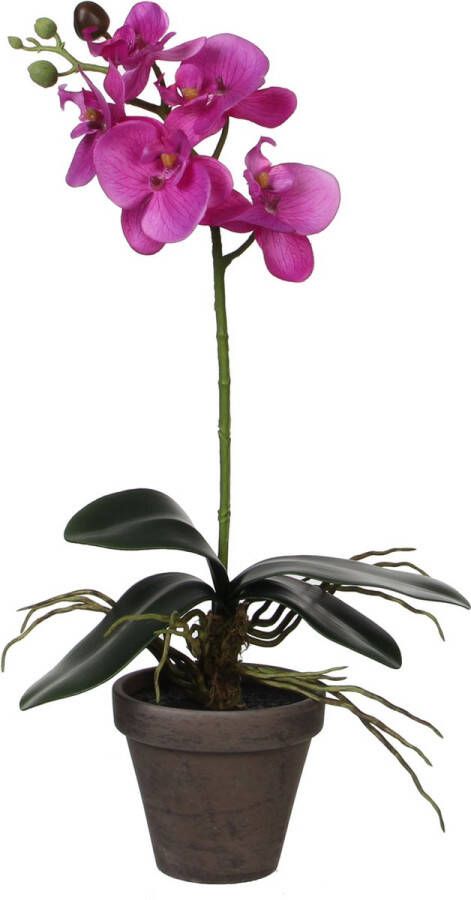 Merkloos Sans marque Kunstplant Orchidee Phalaenopsis Paars H 48cm Keramiek sierpot Mica Decorations